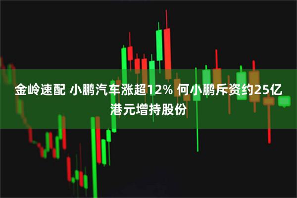 金岭速配 小鹏汽车涨超12% 何小鹏斥资约25亿港元增持股份