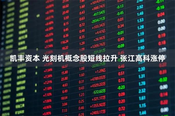 凯丰资本 光刻机概念股短线拉升 张江高科涨停