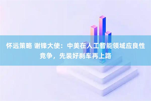怀远策略 谢锋大使:中美在人工智能领域应良性竞争,先装好刹车再上路
