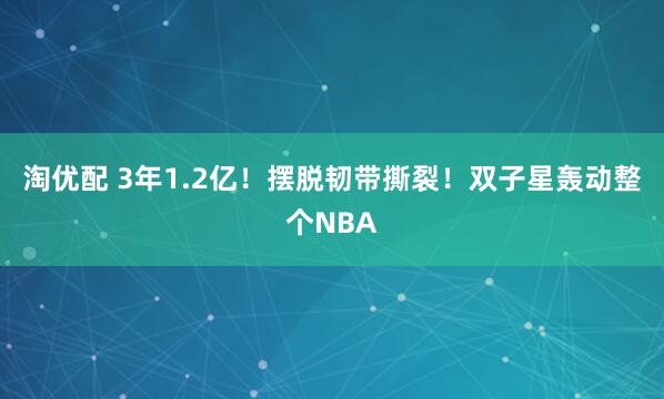 淘优配 3年1.2亿！摆脱韧带撕裂！双子星轰动整个NBA